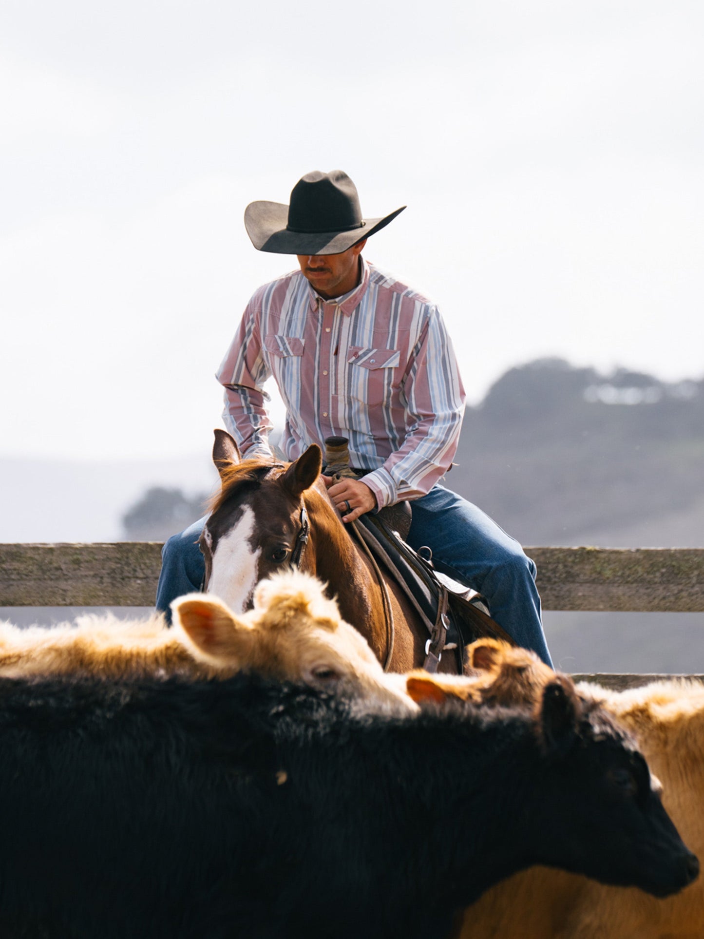 Schaefer Outfitter RangeTek Western Guide Snap Shirt