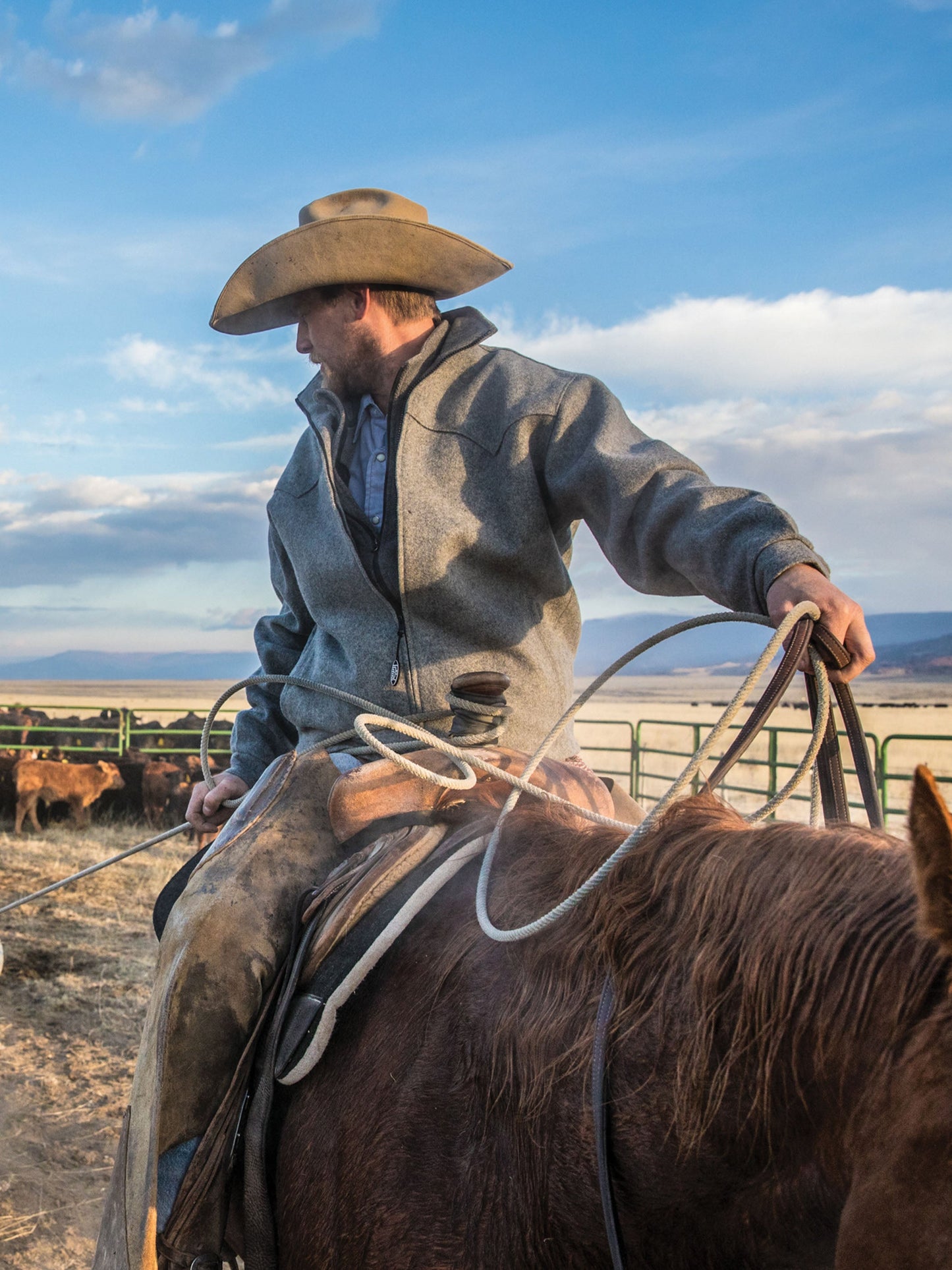 Schaefer Outfitter Wool Arena Jacket & Durable Melton Coat