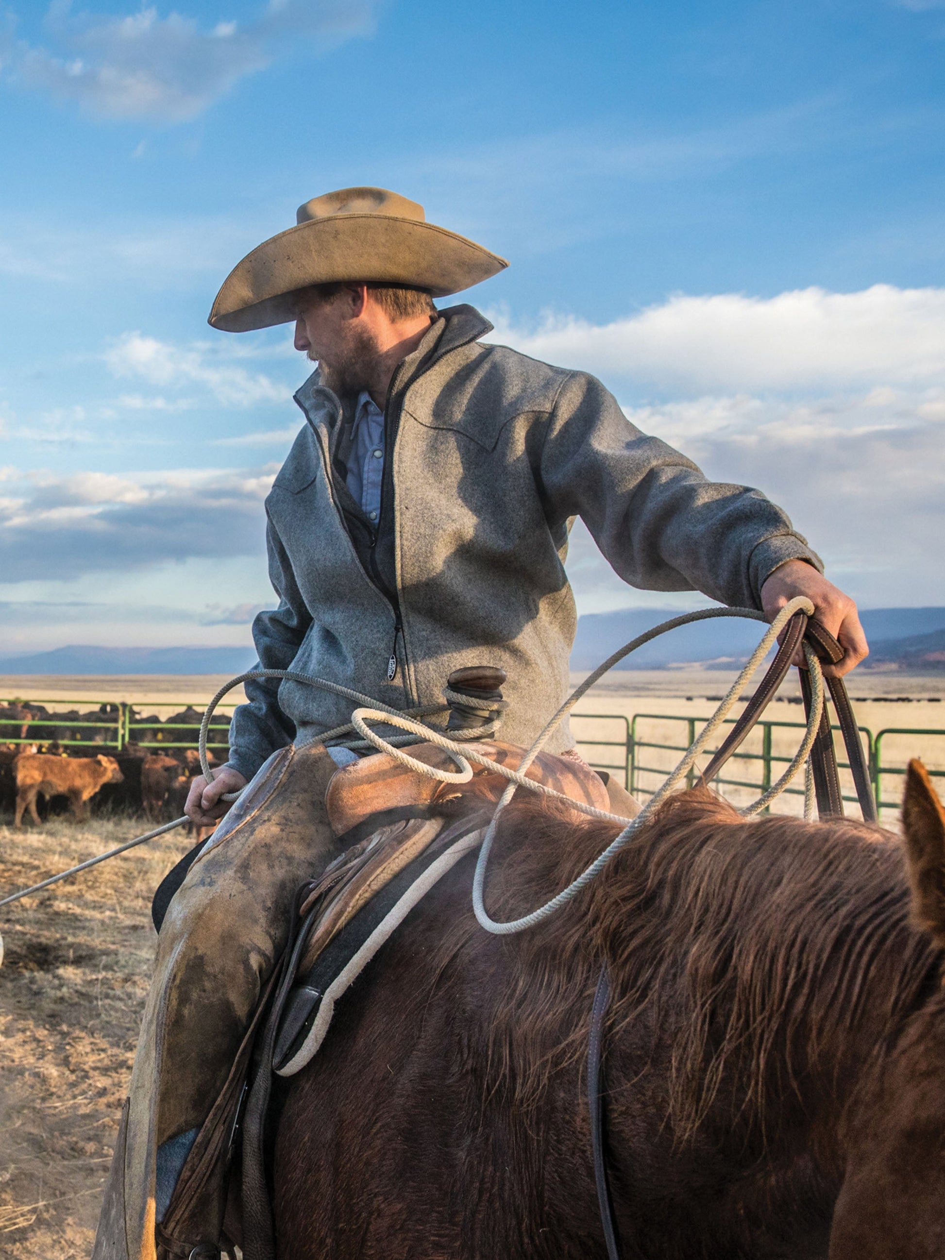 Schaefer Outfitter Wool Arena Jacket & Durable Melton Coat