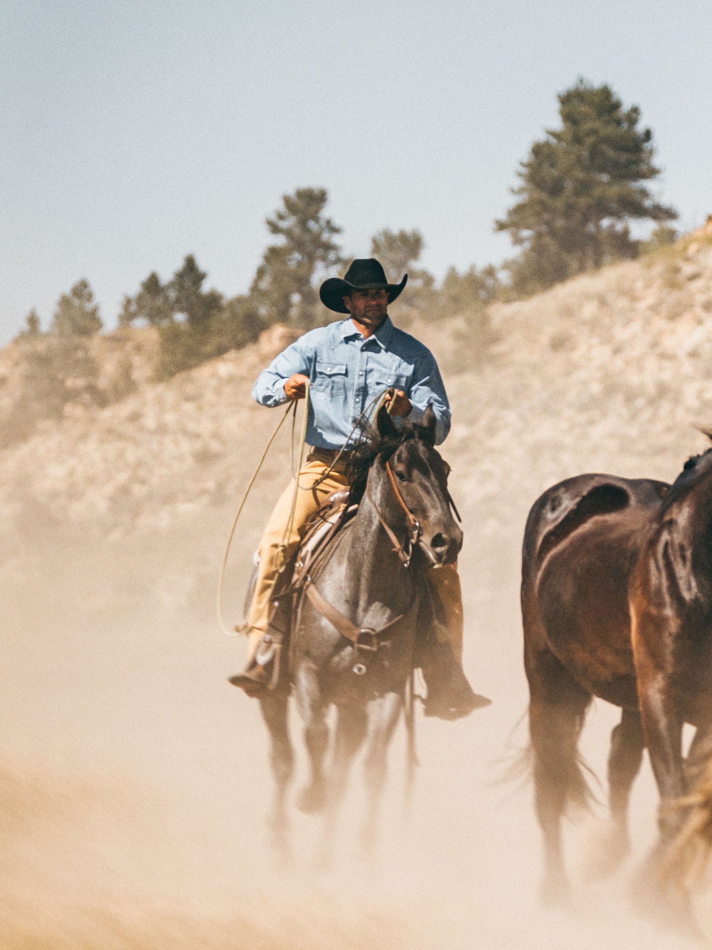Schaefer Outfitter Brushcloth Ranch Hand Dungaree