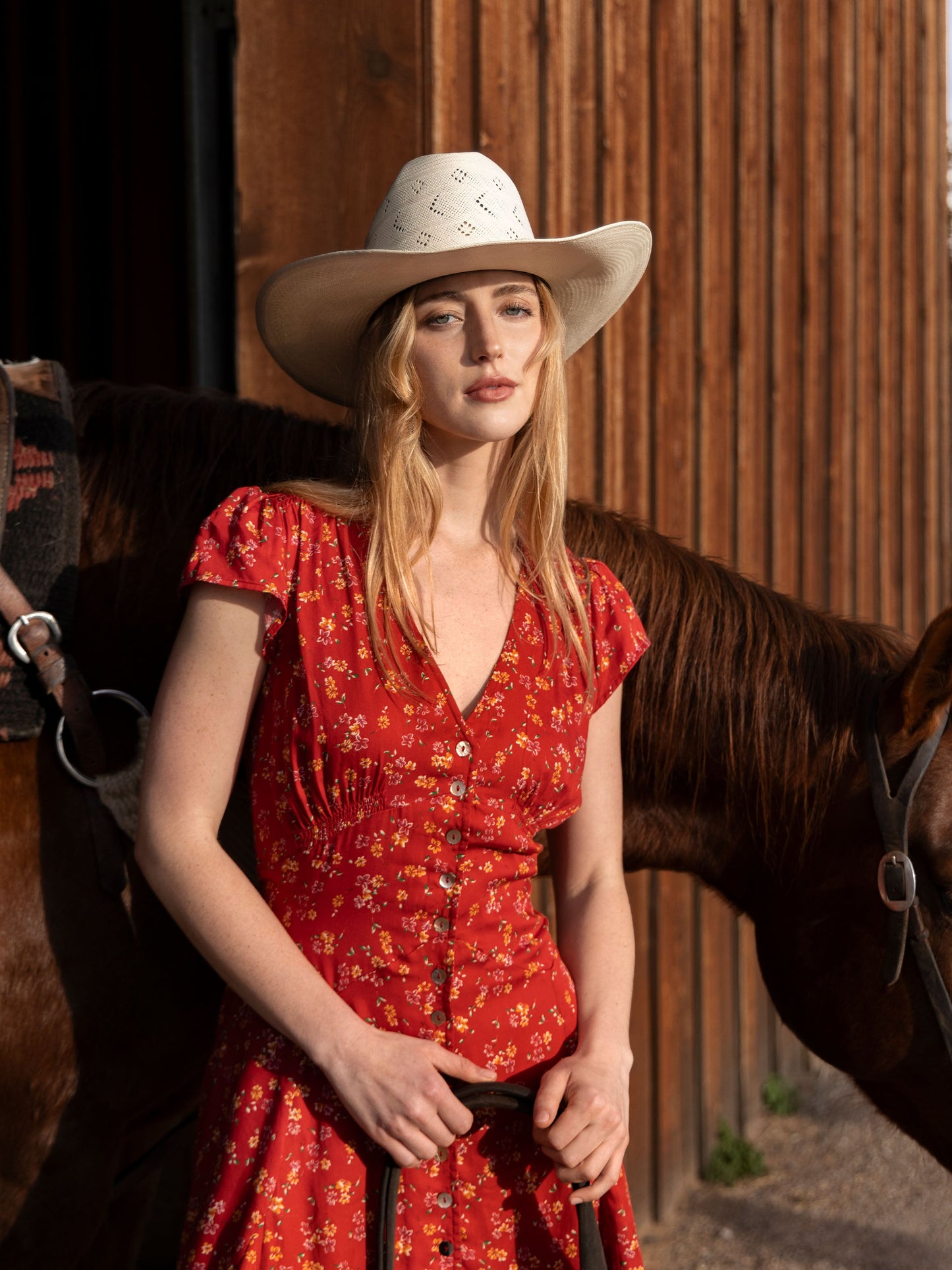 Schaefer Outfitter Rhiannon Dress