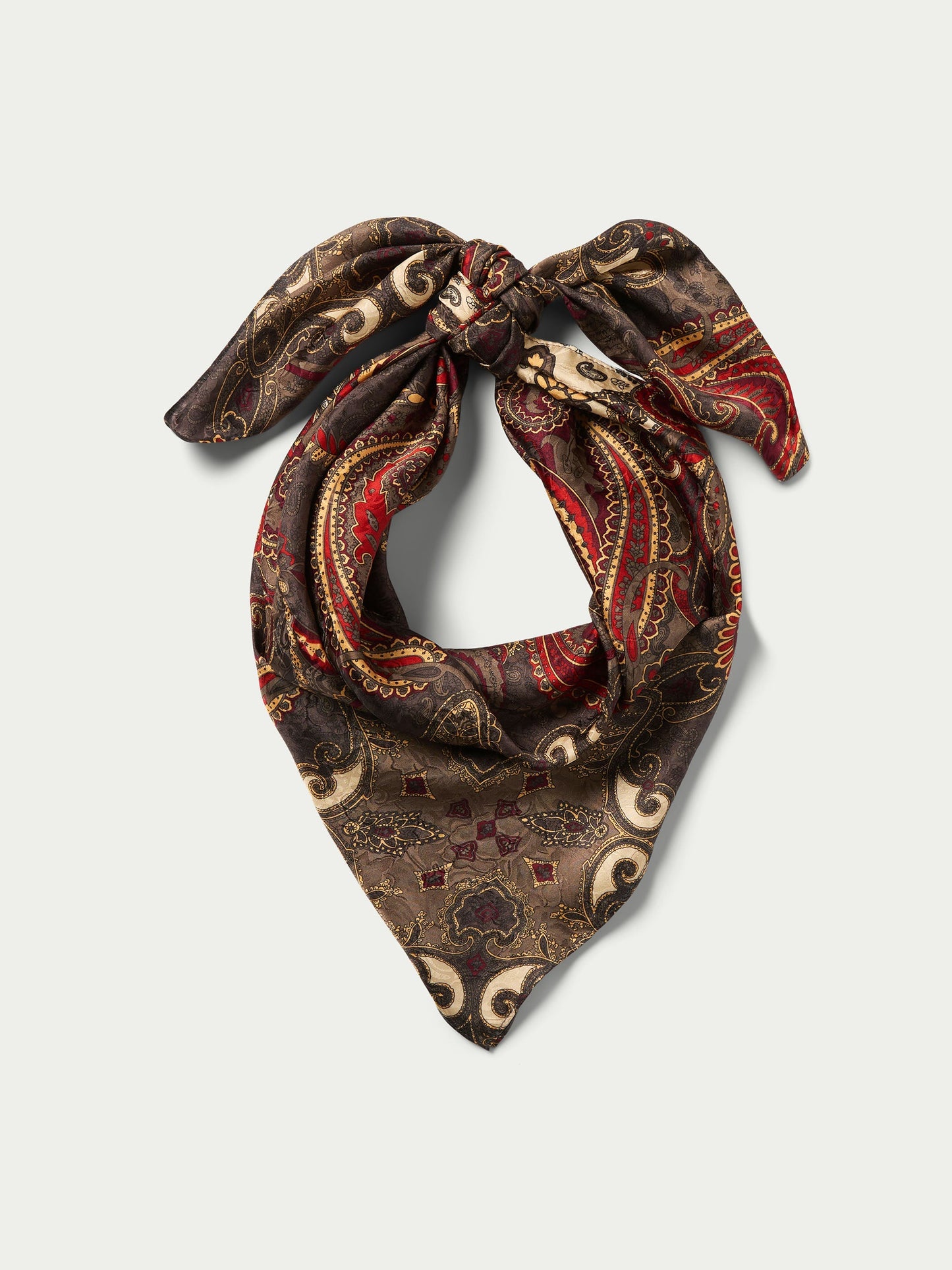 Schaefer Outfitter Paisley Wild Rags