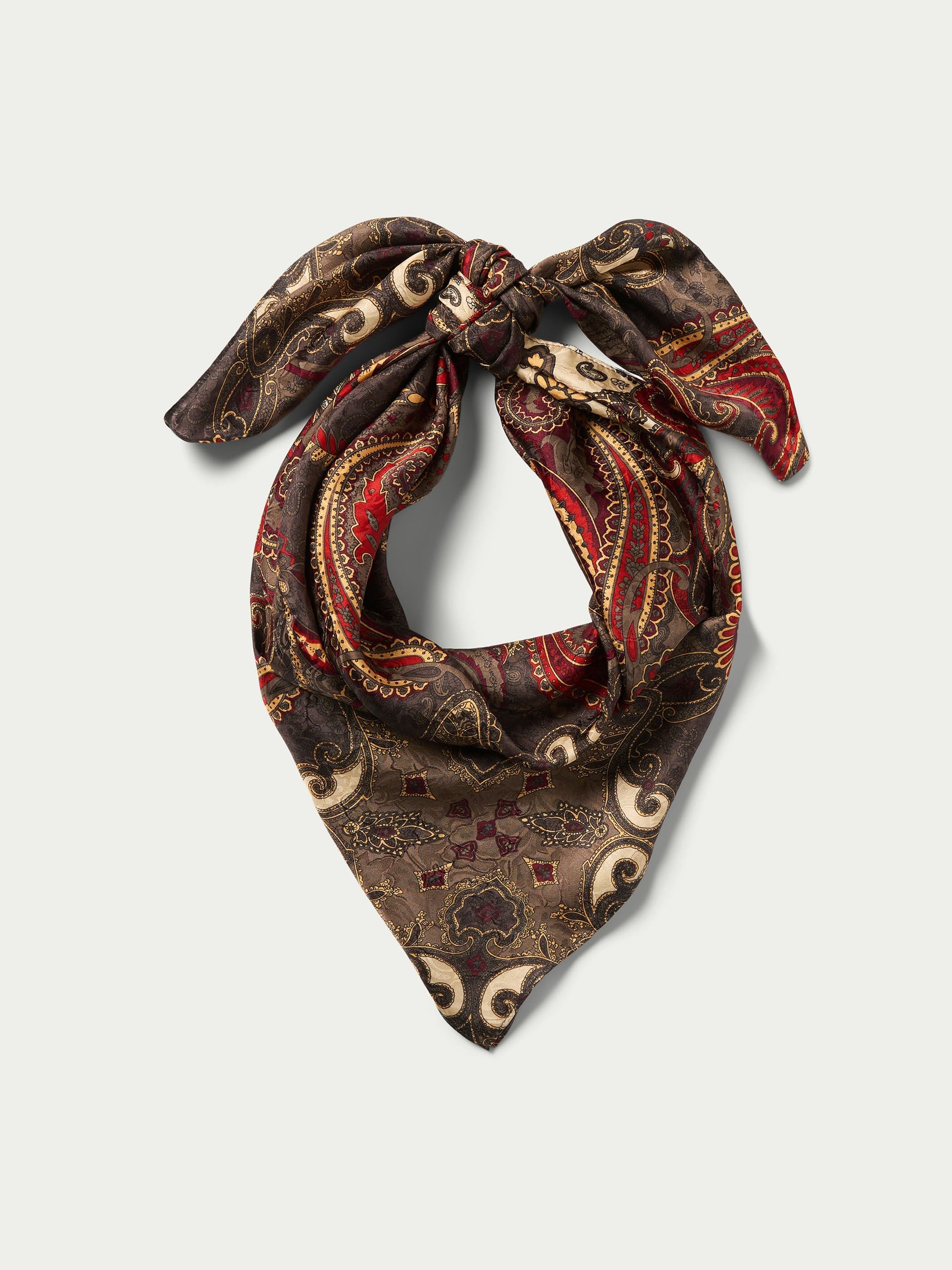 Schaefer Outfitter Paisley Wild Rags