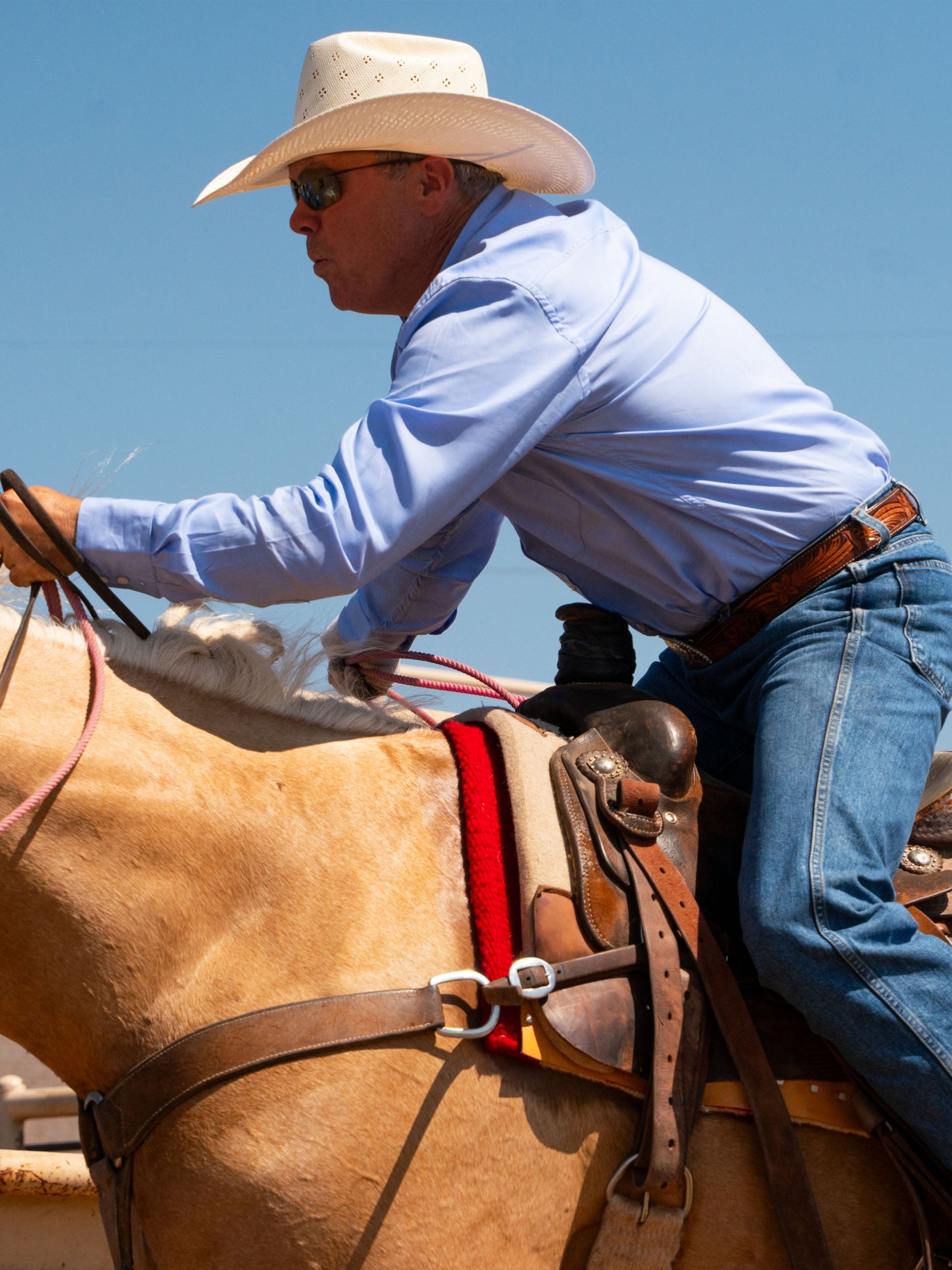 Schaefer Outfitter Classic Western Pinpoint Button-Down